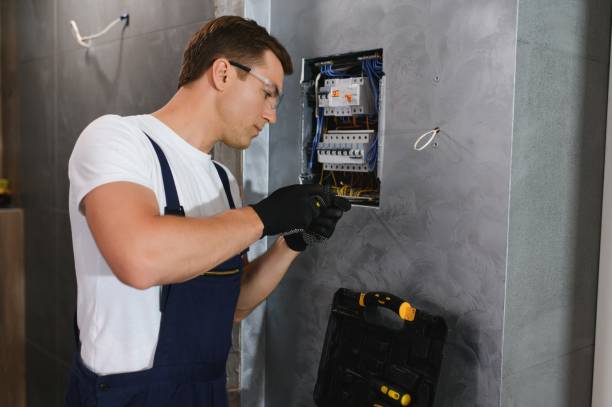 Best Licensed Electrician  in Carrizo Springs, TX
