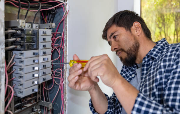 Best Electrical System Inspection  in Carrizo Springs, TX